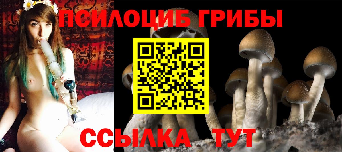 Галлюциногенные грибы Psilocybine cubensis Бахчисарай