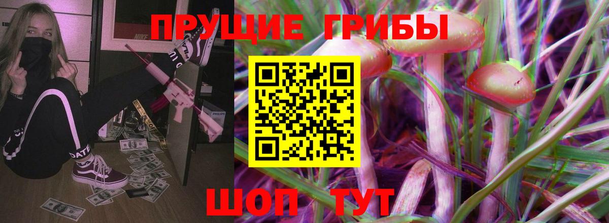 Бахчисарай  Псилоцибиновые грибы Psilocybe  Вход с VPN 